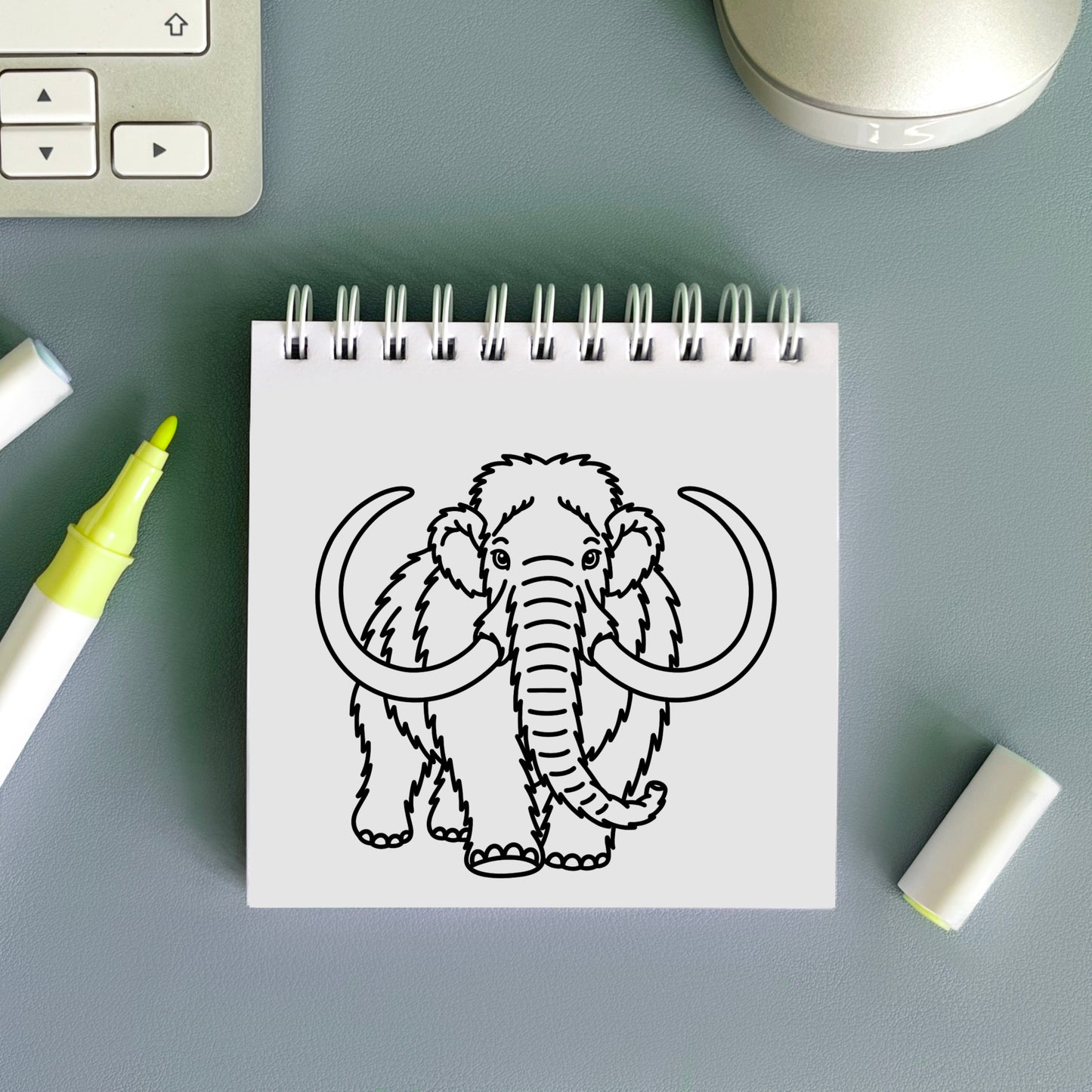 Prehistoric World Pocket-Sized Colouring Book