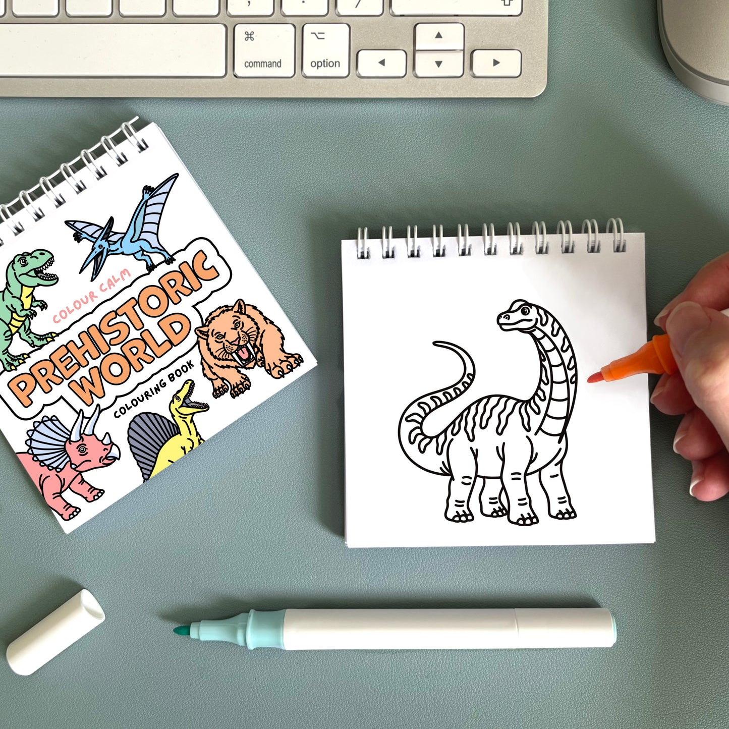 The Complete Set: Four Pocket-Sized Colouring Book Bundle